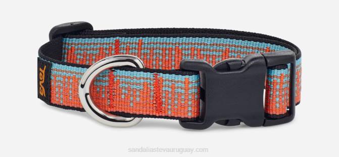 Teva 484R215 atmósfera zanahoria/espejismo azul collar de perro unisex 19mm