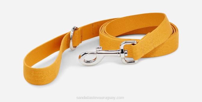 Teva 484R212 girasol texturizado teva correa de perro 25mm